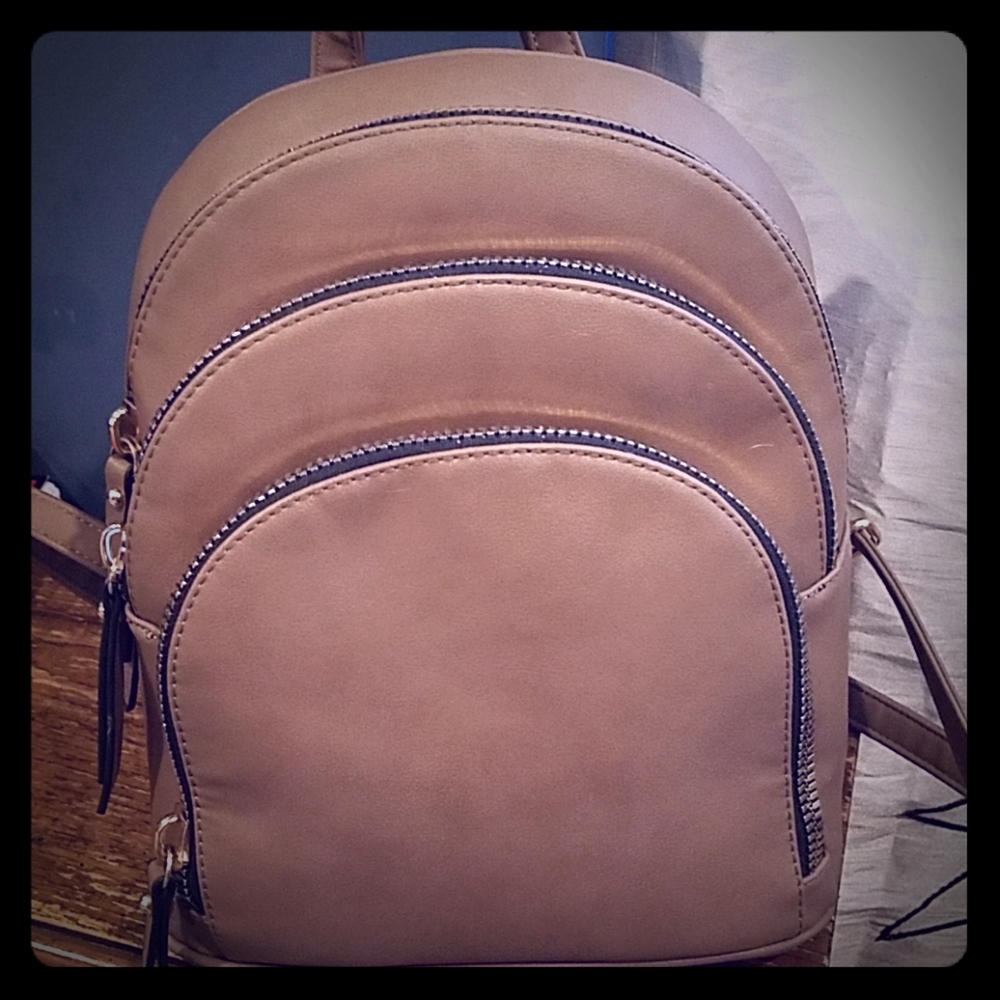 Purse backpack